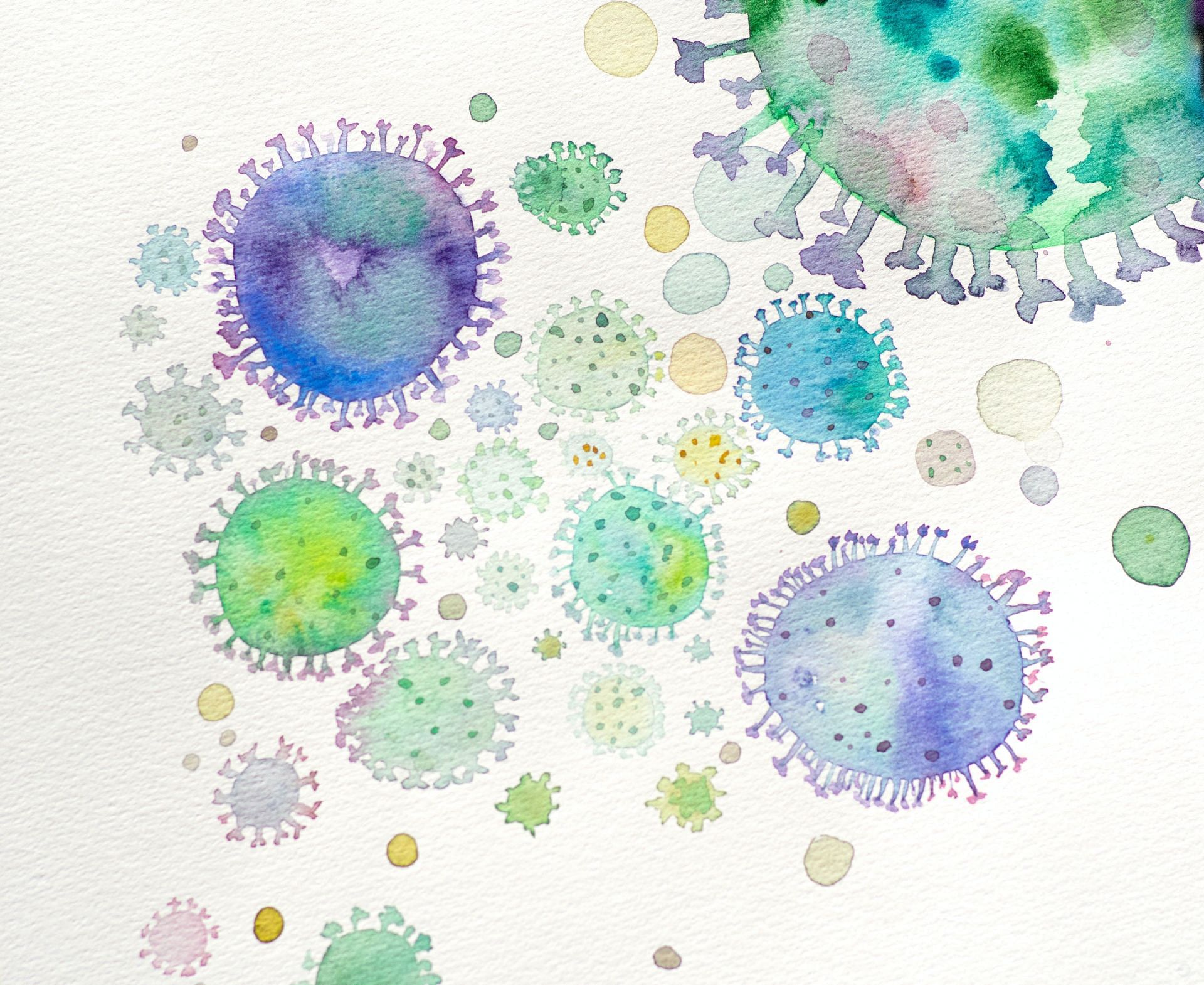 Fghts free radicals (Image via Unsplash/Elena Mozhvilo)